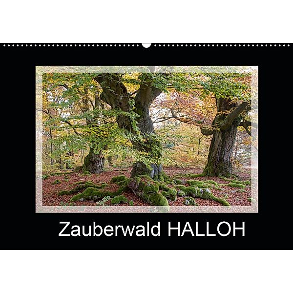 Zauberwald HALLOH (Wandkalender 2020 DIN A2 quer), Marion Maurer