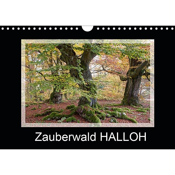 Zauberwald HALLOH (Wandkalender 2021 DIN A4 quer), Marion Maurer