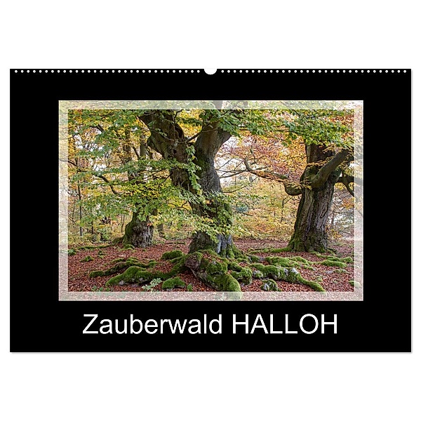 Zauberwald HALLOH (Wandkalender 2024 DIN A2 quer), CALVENDO Monatskalender, Marion Maurer