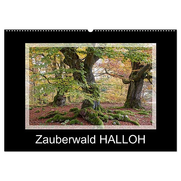 Zauberwald HALLOH (Wandkalender 2025 DIN A2 quer), CALVENDO Monatskalender, Calvendo, Marion Maurer