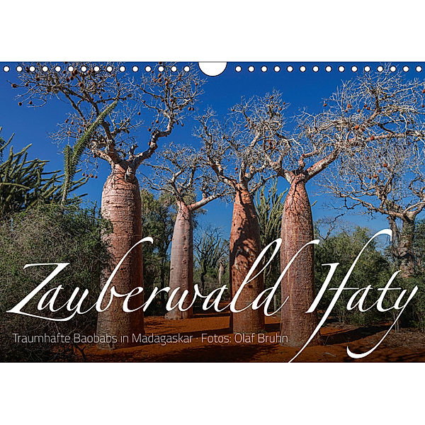 Zauberwald Ifaty · Traumhafte Baobabs in Madagaskar (Wandkalender 2019 DIN A4 quer), Olaf Bruhn