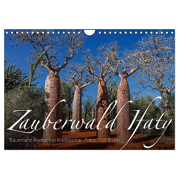 Zauberwald Ifaty · Traumhafte Baobabs in Madagaskar (Wandkalender 2024 DIN A4 quer), CALVENDO Monatskalender, Olaf Bruhn