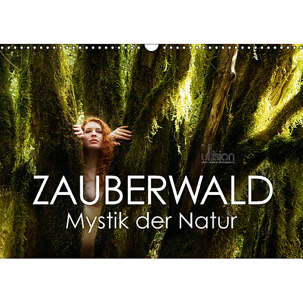 ZAUBERWALD Mystik der Natur (Wandkalender 2018 DIN A3 quer), Ulrich Allgaier