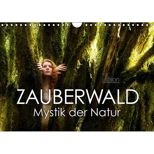 ZAUBERWALD Mystik der Natur (Wandkalender 2019 DIN A4 quer), Ulrich Allgaier