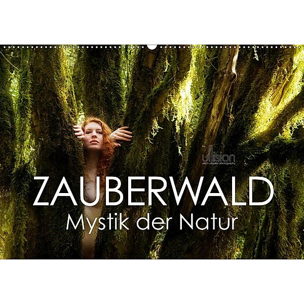 ZAUBERWALD Mystik der Natur (Wandkalender 2020 DIN A2 quer), Ulrich Allgaier