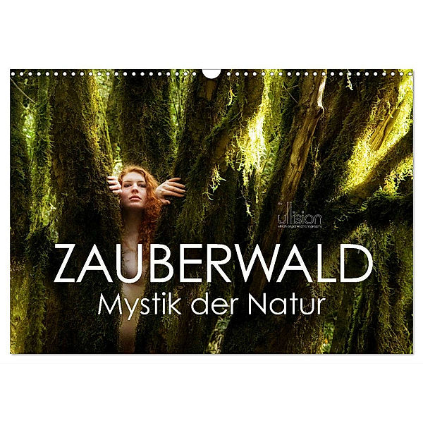 ZAUBERWALD Mystik der Natur (Wandkalender 2024 DIN A3 quer), CALVENDO Monatskalender, Ulrich Allgaier (Ullision)