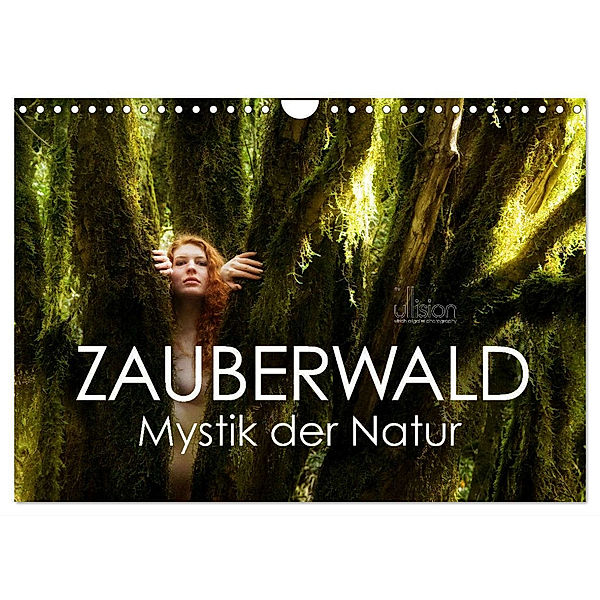 ZAUBERWALD Mystik der Natur (Wandkalender 2024 DIN A4 quer), CALVENDO Monatskalender, Ulrich Allgaier (Ullision)