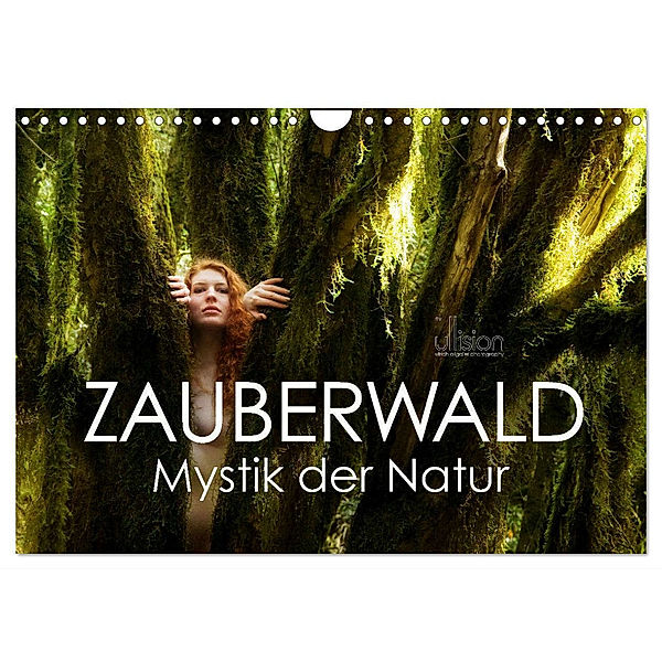 ZAUBERWALD Mystik der Natur (Wandkalender 2025 DIN A4 quer), CALVENDO Monatskalender, Calvendo, Ulrich Allgaier (Ullision)