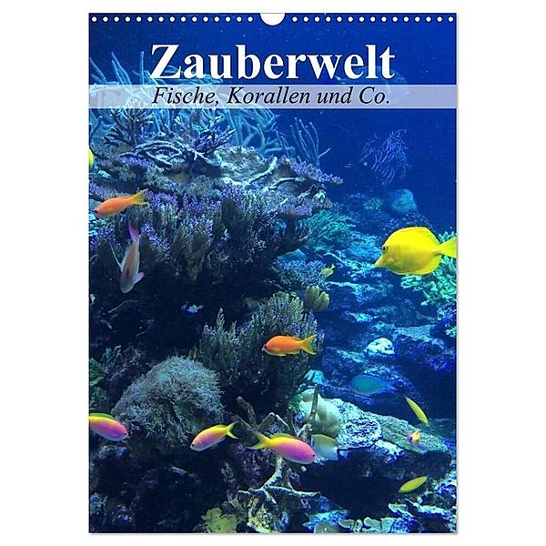 Zauberwelt. Fische, Korallen und Co. (Wandkalender 2024 DIN A3 hoch), CALVENDO Monatskalender, Elisabeth Stanzer