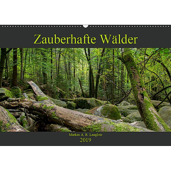 Zauberwelt Wald (Wandkalender 2019 DIN A2 quer), Markus Langlotz
