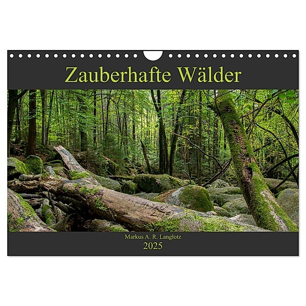 Zauberwelt Wald (Wandkalender 2025 DIN A4 quer), CALVENDO Monatskalender, Calvendo, Markus Langlotz