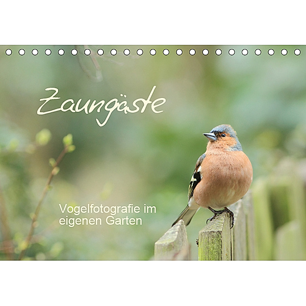Zaungäste (Tischkalender 2019 DIN A5 quer), Beate Mainz