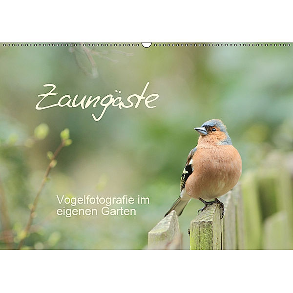 Zaungäste (Wandkalender 2019 DIN A2 quer), Beate Mainz