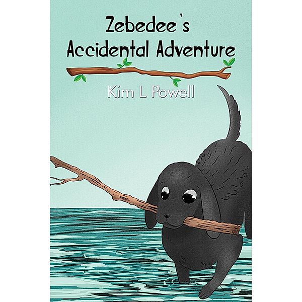 Zebedee's Accidental Adventure / Austin Macauley Publishers Ltd, Kim L Powell