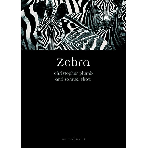 Zebra / Animal, Plumb Christopher Plumb