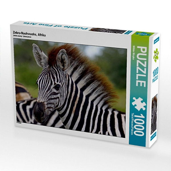 Zebra-Nachwuchs, Afrika (Puzzle), Wibke Woyke