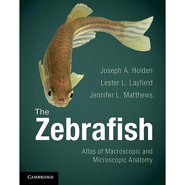 Zebrafish, Joseph A. Holden