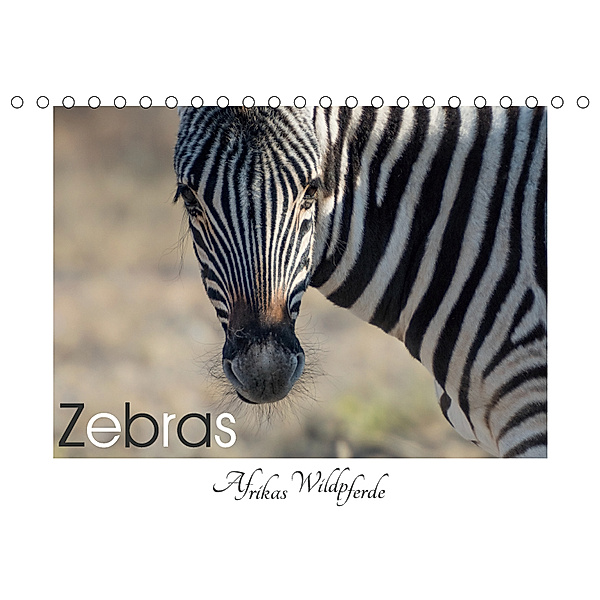Zebras - Afrikas Wildpferde (Tischkalender 2019 DIN A5 quer), Irma van der Wiel