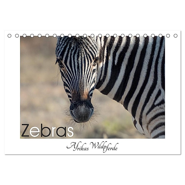 Zebras - Afrikas Wildpferde (Tischkalender 2024 DIN A5 quer), CALVENDO Monatskalender, Irma van der Wiel