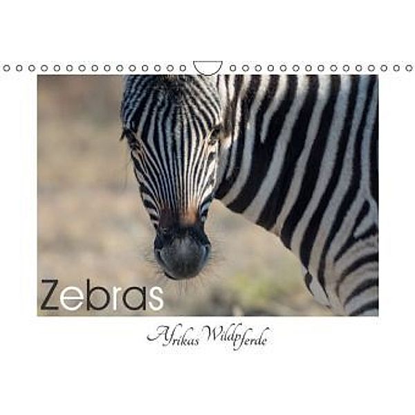 Zebras - Afrikas Wildpferde (Wandkalender 2016 DIN A4 quer), Irma van der Wiel