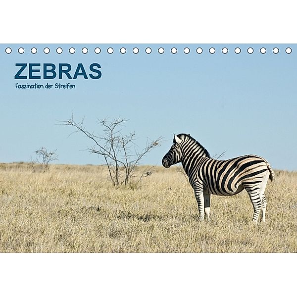 Zebras - Faszination der Streifen (Tischkalender 2018 DIN A5 quer), Thomas Krebs