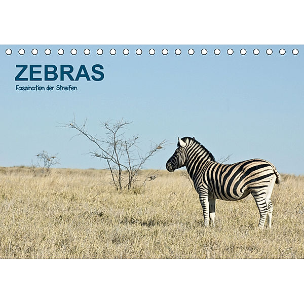 Zebras - Faszination der Streifen (Tischkalender 2019 DIN A5 quer), Thomas Krebs