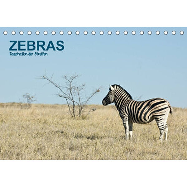 Zebras - Faszination der Streifen (Tischkalender 2022 DIN A5 quer), Thomas Krebs