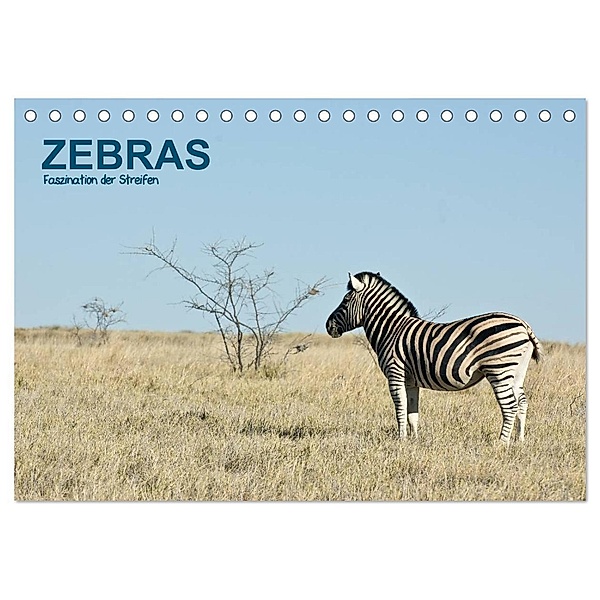 Zebras - Faszination der Streifen (Tischkalender 2024 DIN A5 quer), CALVENDO Monatskalender, Thomas Krebs