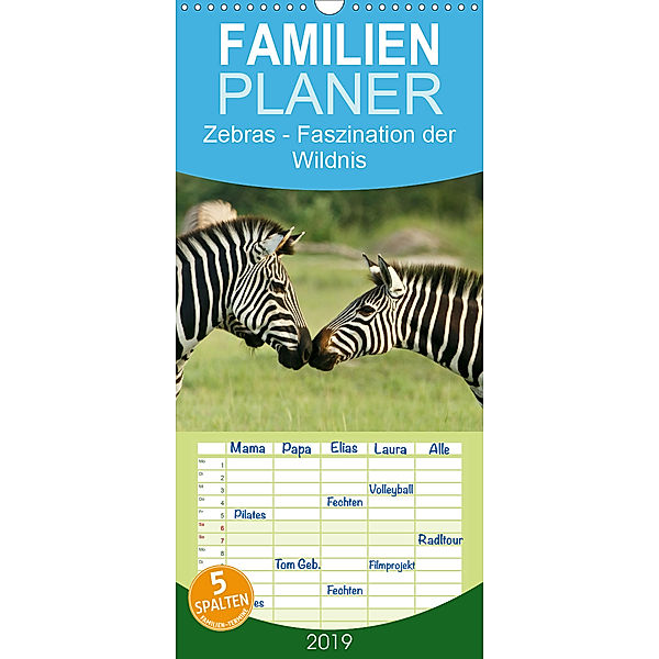 Zebras - Faszination der Wildnis - Familienplaner hoch (Wandkalender 2019 , 21 cm x 45 cm, hoch), Nadine Haase