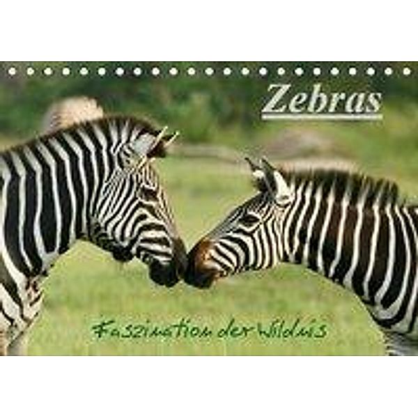 Zebras - Faszination der Wildnis (Tischkalender 2020 DIN A5 quer), Nadine Haase