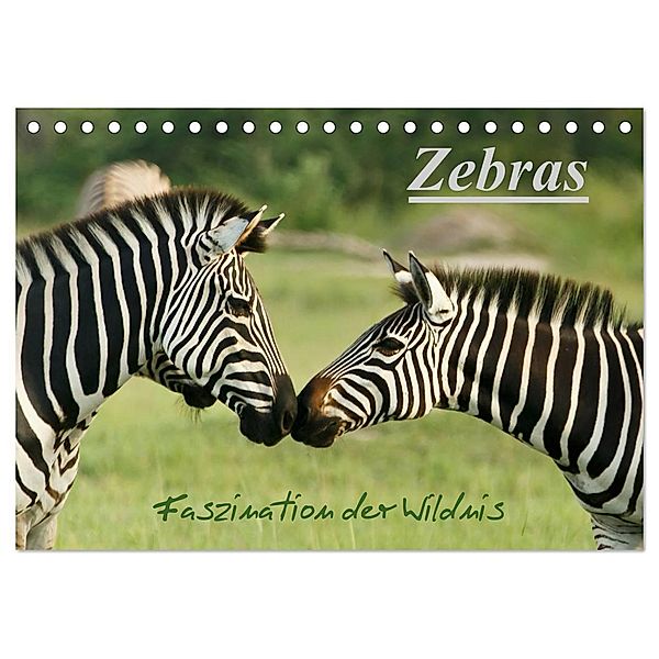 Zebras - Faszination der Wildnis (Tischkalender 2024 DIN A5 quer), CALVENDO Monatskalender, Nadine Haase