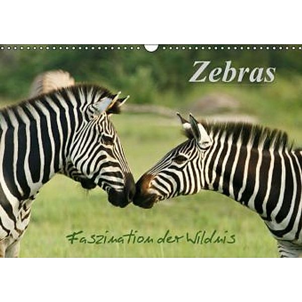 Zebras - Faszination der Wildnis (Wandkalender 2015 DIN A3 quer), Nadine Haase
