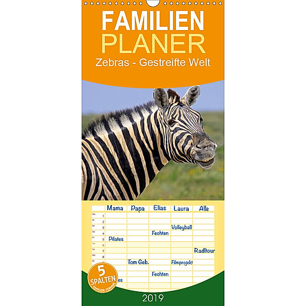Zebras - Gestreifte Welt - Familienplaner hoch (Wandkalender 2019 , 21 cm x 45 cm, hoch), Wibke Woyke