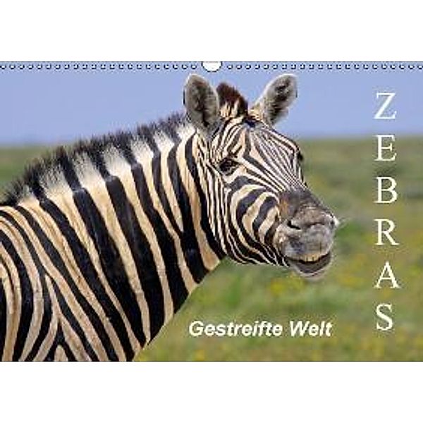 Zebras - Gestreifte Welt (Wandkalender 2016 DIN A3 quer), Wibke Woyke