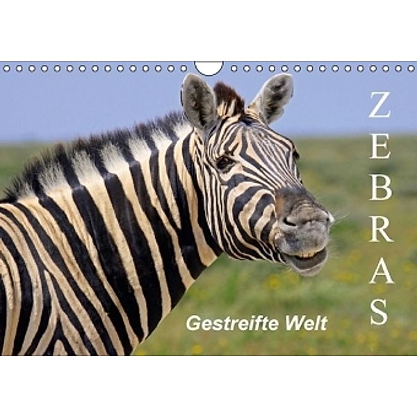 Zebras - Gestreifte Welt (Wandkalender 2016 DIN A4 quer), Wibke Woyke