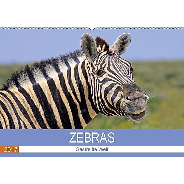 Zebras - Gestreifte Welt (Wandkalender 2017 DIN A2 quer), Wibke Woyke