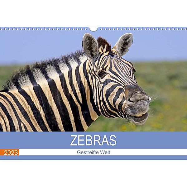 Zebras - Gestreifte Welt (Wandkalender 2023 DIN A3 quer), Wibke Woyke