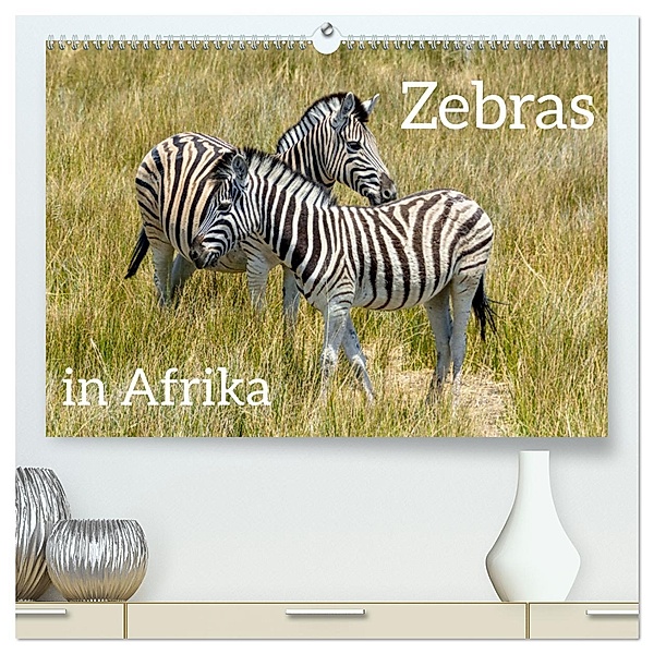 Zebras in Afrika (hochwertiger Premium Wandkalender 2025 DIN A2 quer), Kunstdruck in Hochglanz, Calvendo, Christiane Kulisch