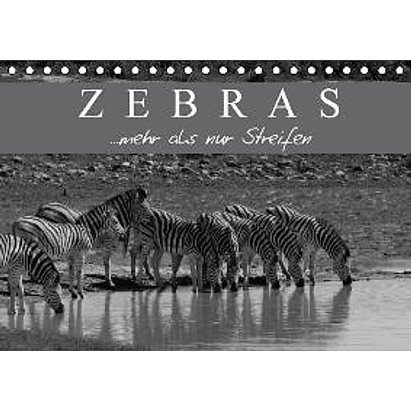 Zebras - Mehr als nur Streifen (Tischkalender 2016 DIN A5 quer), Markus Pavlowsky