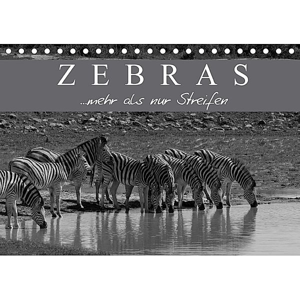 Zebras - Mehr als nur Streifen (Tischkalender 2018 DIN A5 quer), Markus Pavlowsky