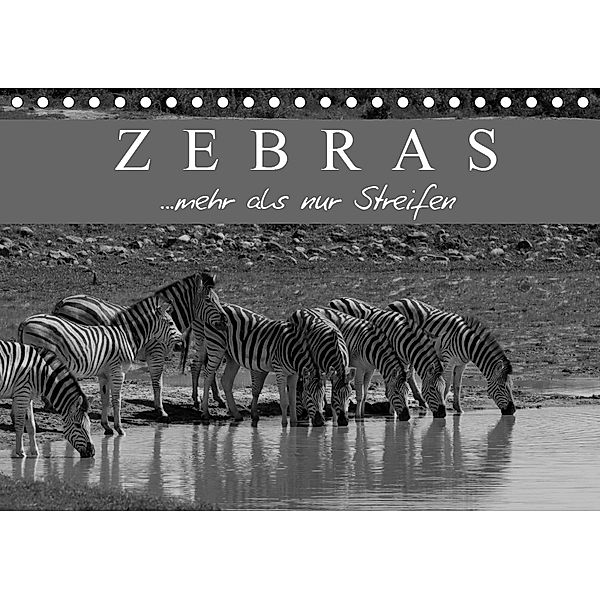 Zebras - Mehr als nur Streifen (Tischkalender 2019 DIN A5 quer), Markus Pavlowsky