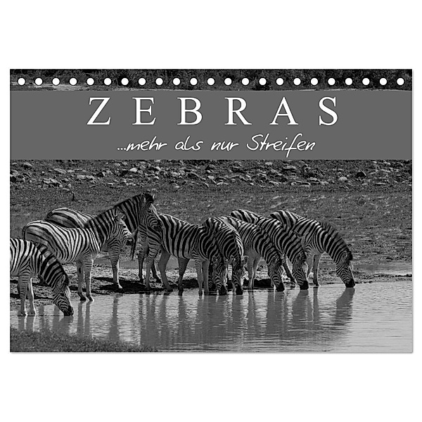 Zebras - Mehr als nur Streifen (Tischkalender 2024 DIN A5 quer), CALVENDO Monatskalender, Markus Pavlowsky Photography