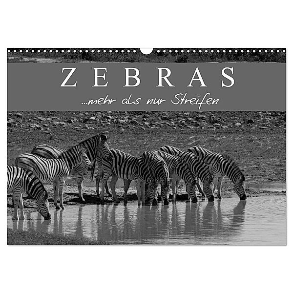 Zebras - Mehr als nur Streifen (Wandkalender 2024 DIN A3 quer), CALVENDO Monatskalender, Markus Pavlowsky Photography