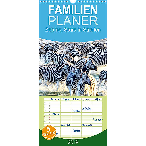 Zebras, Stars in Streifen - Familienplaner hoch (Wandkalender 2019 , 21 cm x 45 cm, hoch), ROBERT STYPPA