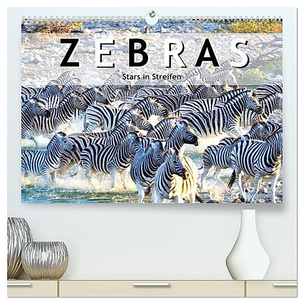 Zebras, Stars in Streifen (hochwertiger Premium Wandkalender 2024 DIN A2 quer), Kunstdruck in Hochglanz, Robert Styppa