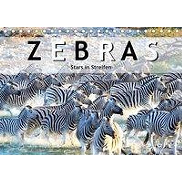 Zebras, Stars in Streifen (Tischkalender 2020 DIN A5 quer), Robert Styppa