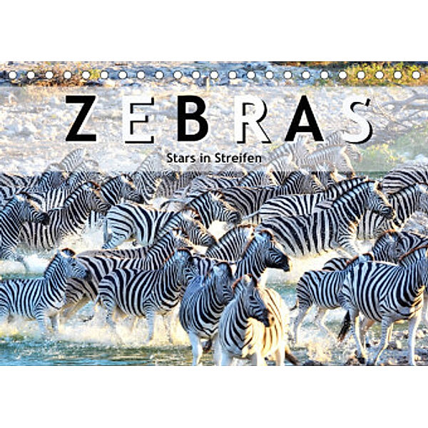 Zebras, Stars in Streifen (Tischkalender 2022 DIN A5 quer), Robert Styppa