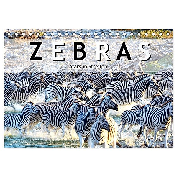 Zebras, Stars in Streifen (Tischkalender 2024 DIN A5 quer), CALVENDO Monatskalender, Robert Styppa