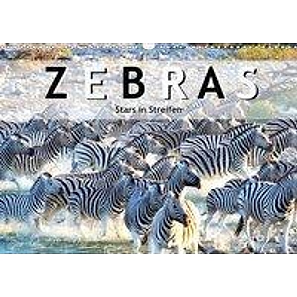 Zebras, Stars in Streifen (Wandkalender 2020 DIN A3 quer), ROBERT STYPPA