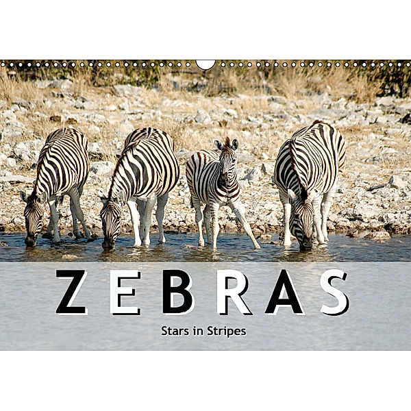 Zebras, stars in stripes (Wall Calendar 2019 DIN A3 Landscape), ROBERT STYPPA